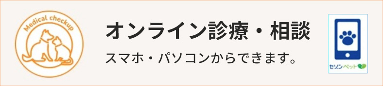 オンライン診療・相談 スマホ・パソコンからできます。