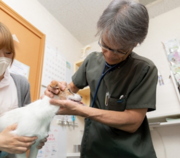 健康診断の結果で気になる点があった飼い主様へ