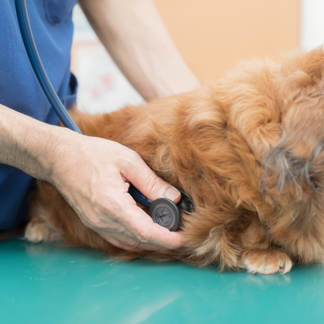 信頼される診療体制と予防医療の重視